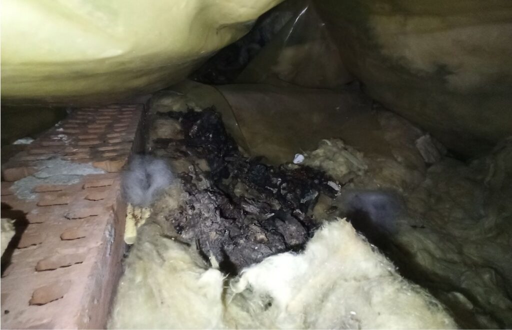 Przykładowe zniszczenia po kunach