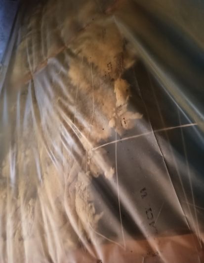 zniszczenia po kunie