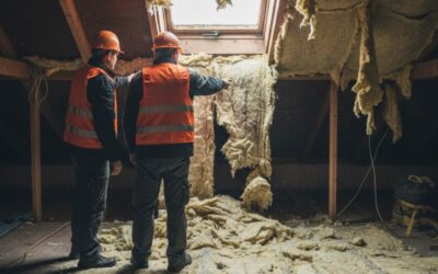 Jak długo trwa naprawa po kunie i jak przygotować dom?