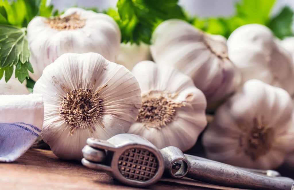 czosnek na kuny