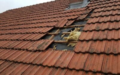 Jak naprawić dach i szkody po kunie?