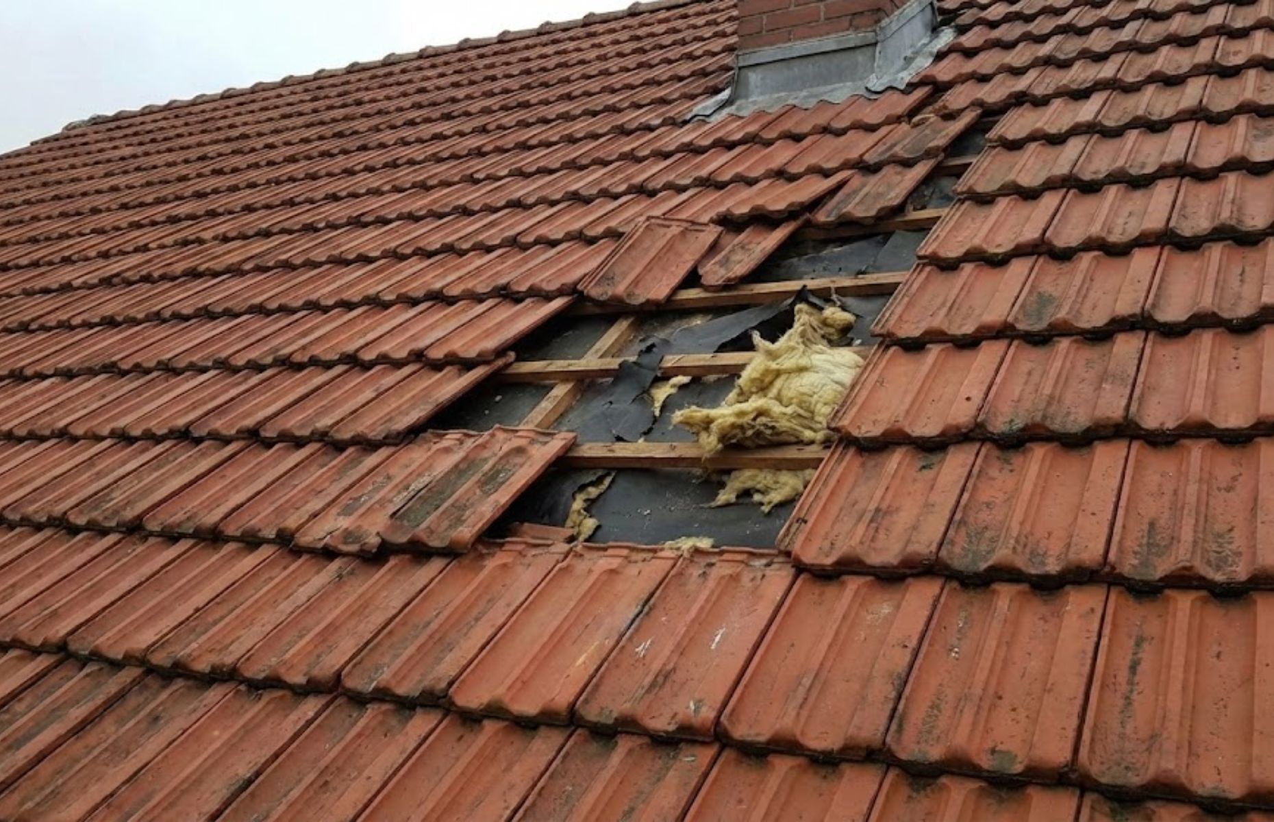 Jak naprawić dach po kunie