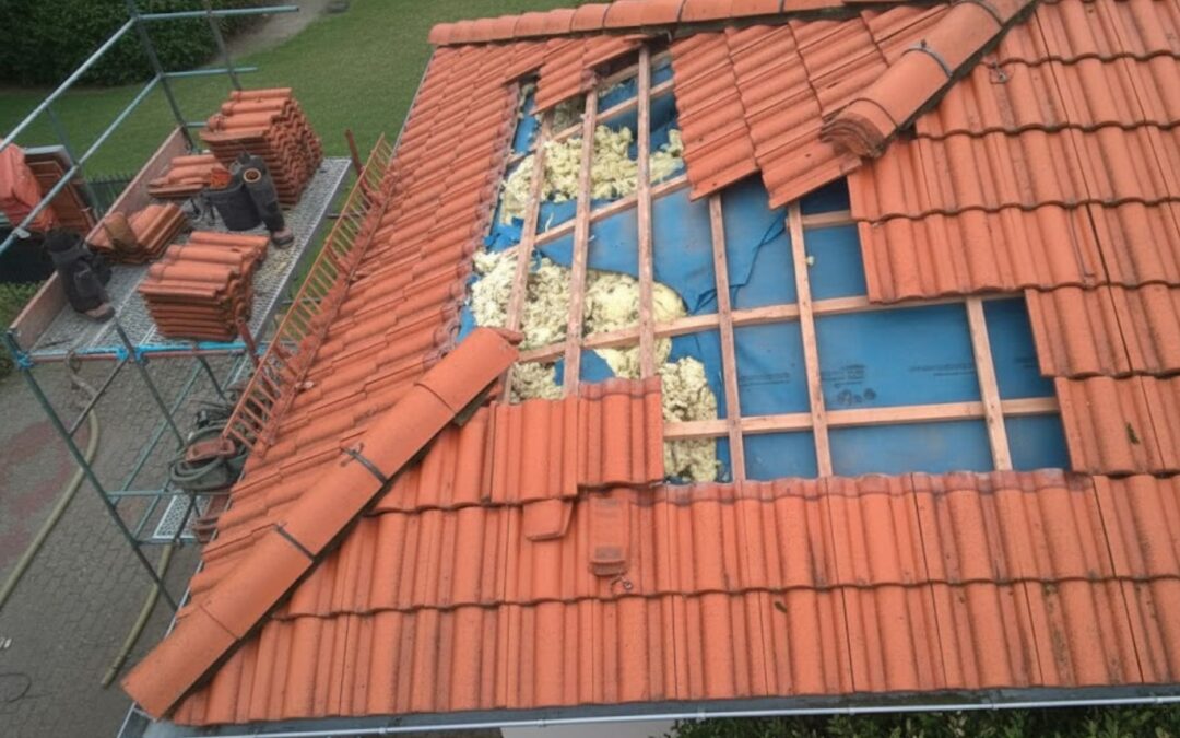 Odszkodowanie za szkody wyrządzone przez kuny – jak uzyskać?