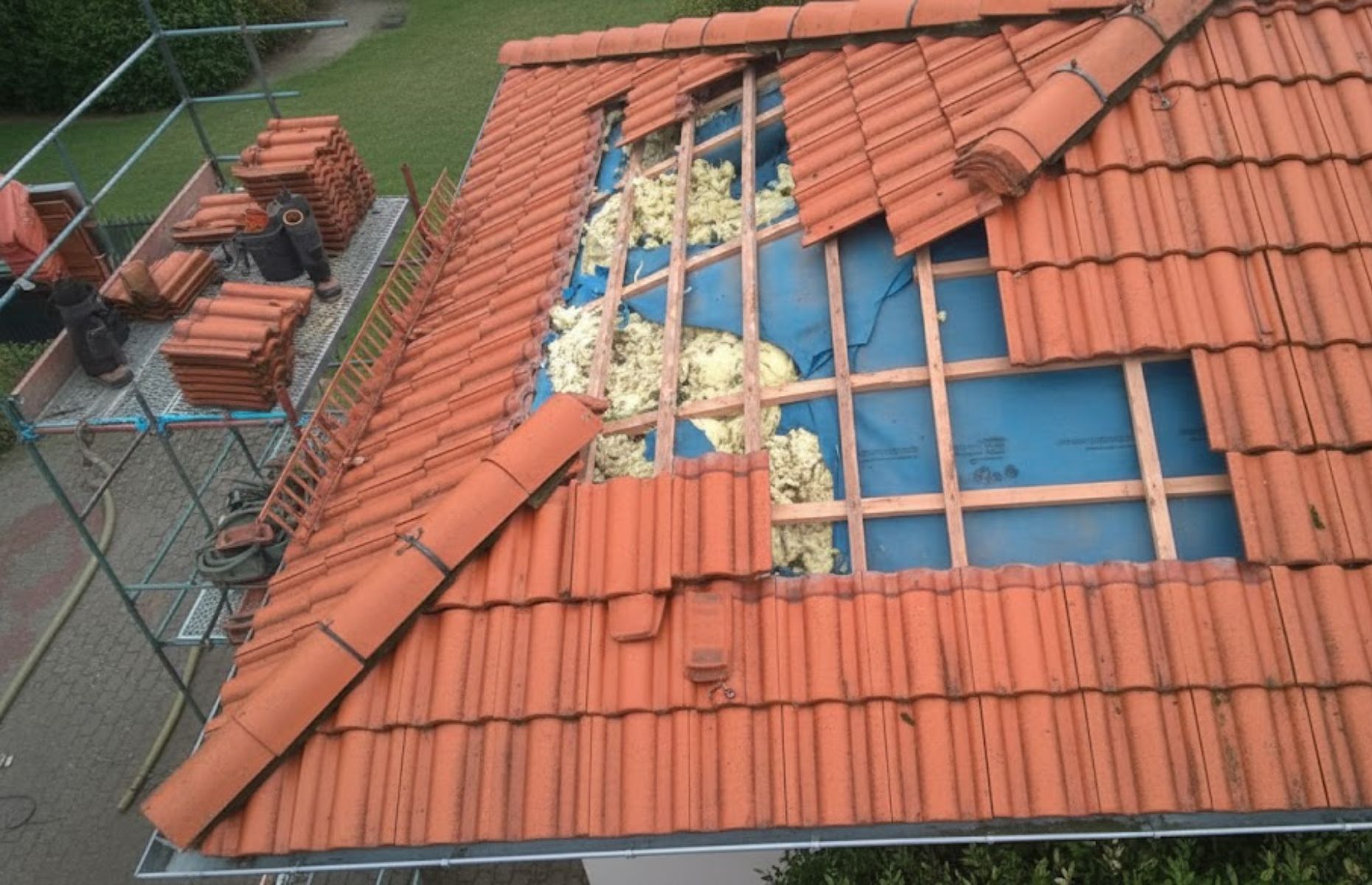 Zniszczenia po kunach